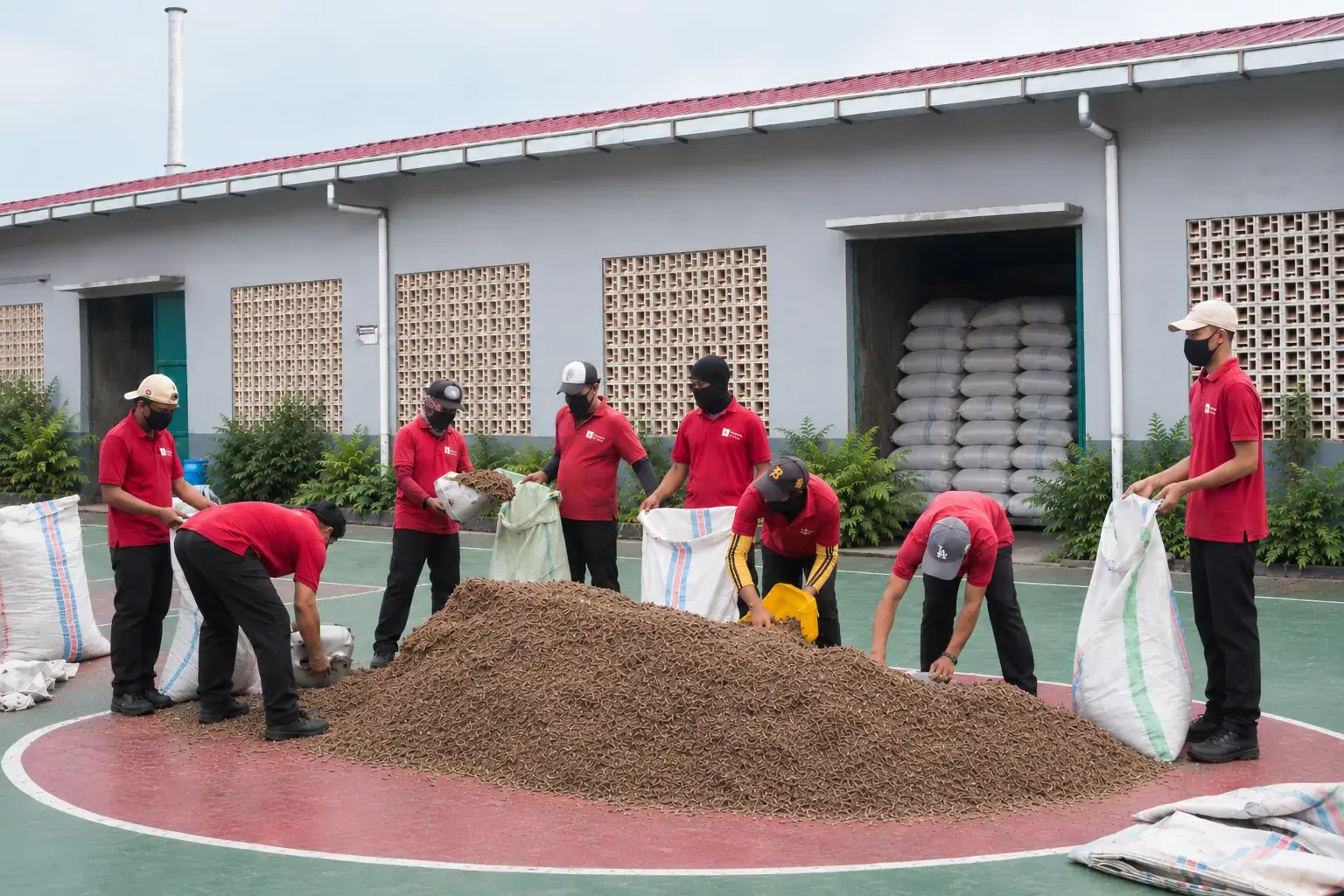 The team bagging a graded lot by hand in the courtyard.